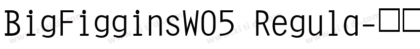 BigFigginsW05 Regula字体转换